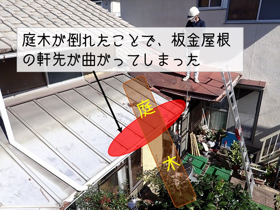 東広島市　倒木による1階板金屋根被害　現地調査